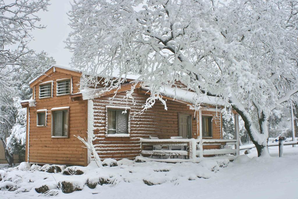 Ein Zivan Village Resort Room photo